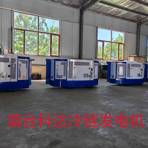 冷藏箱发电机